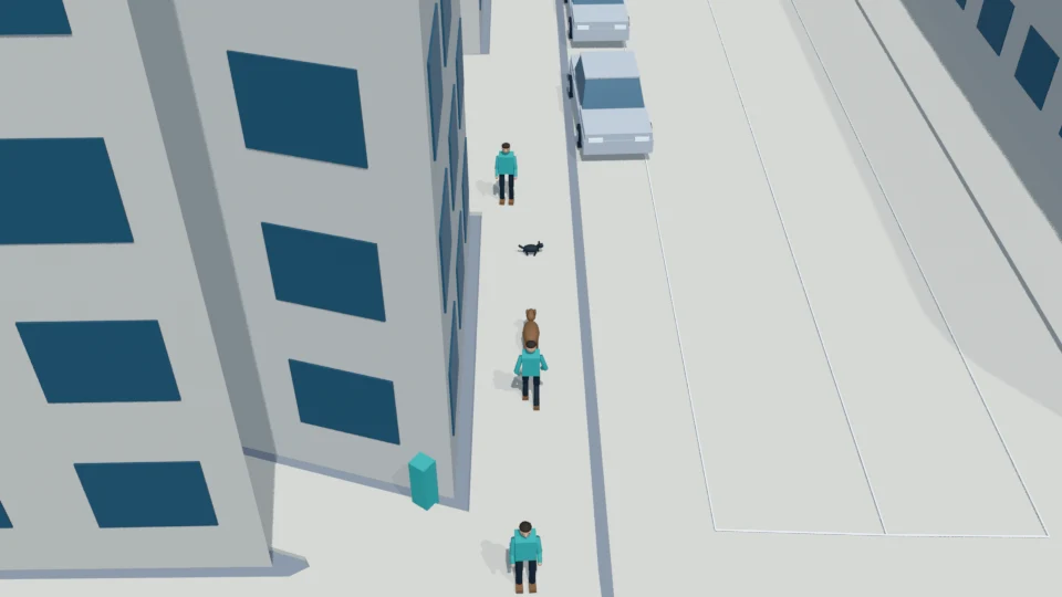 Cat startles at the approaching dog and begins moving toward the road