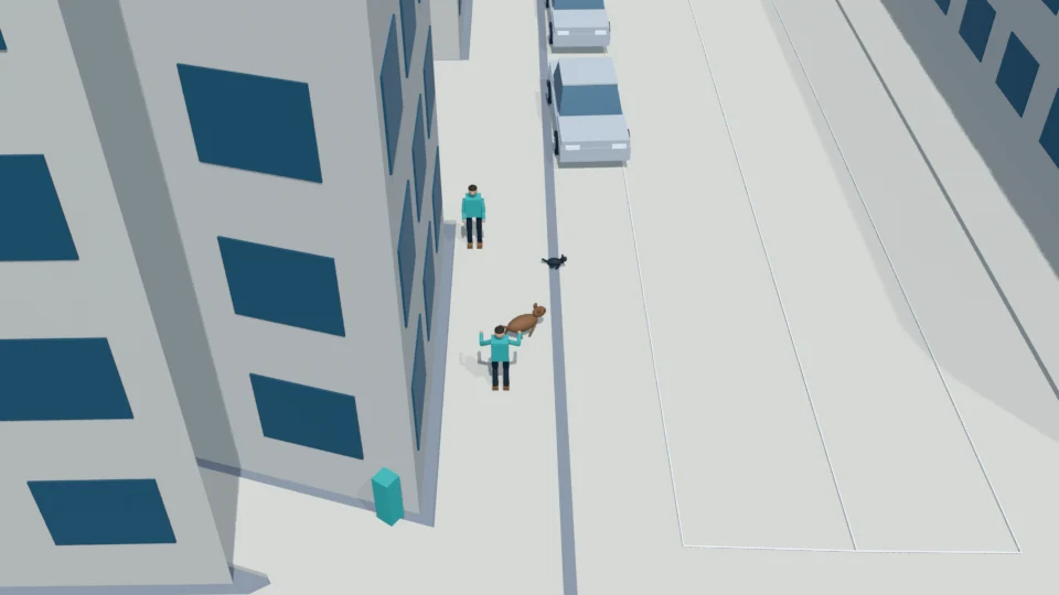 Dog turns off the sidewalk and accelerates after the cat