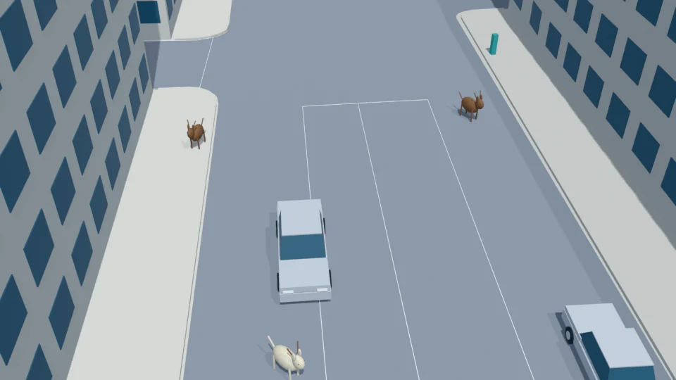 Three startled deer scatter and leave a continuing road hazard rehearsal